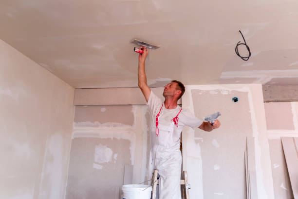 Best Commercial Painting  in Pontiac, MI